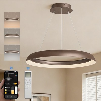 LED Pendelleuchte Esstisch Ring Hängelampe dimmbar 40/60cm mit Fernbedienung App