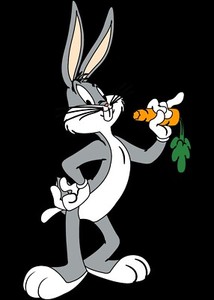 Bugs Bunny Collectible Looney Tunes Hooded Sweatshirt S-5XL, LT-4XLT Hoodie New