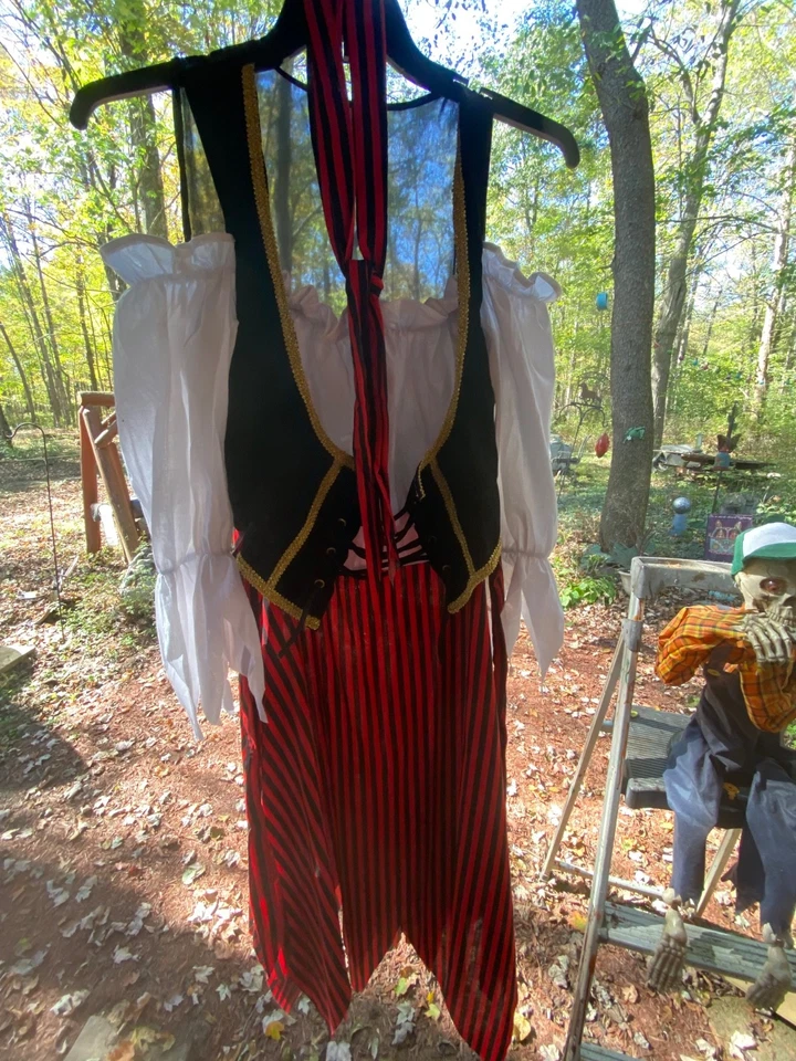 Foro Pirata Doncella Bucanero Belleza Swashbuckler Halloween Disfraz... Foto 2 de 4