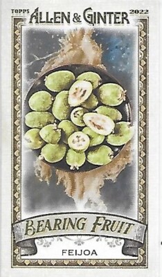2022 Topps Allen & Ginter Baseball Mini Bearing Fruit Feijoa