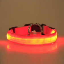 LED PET Safety Halo Style Collar Red XL