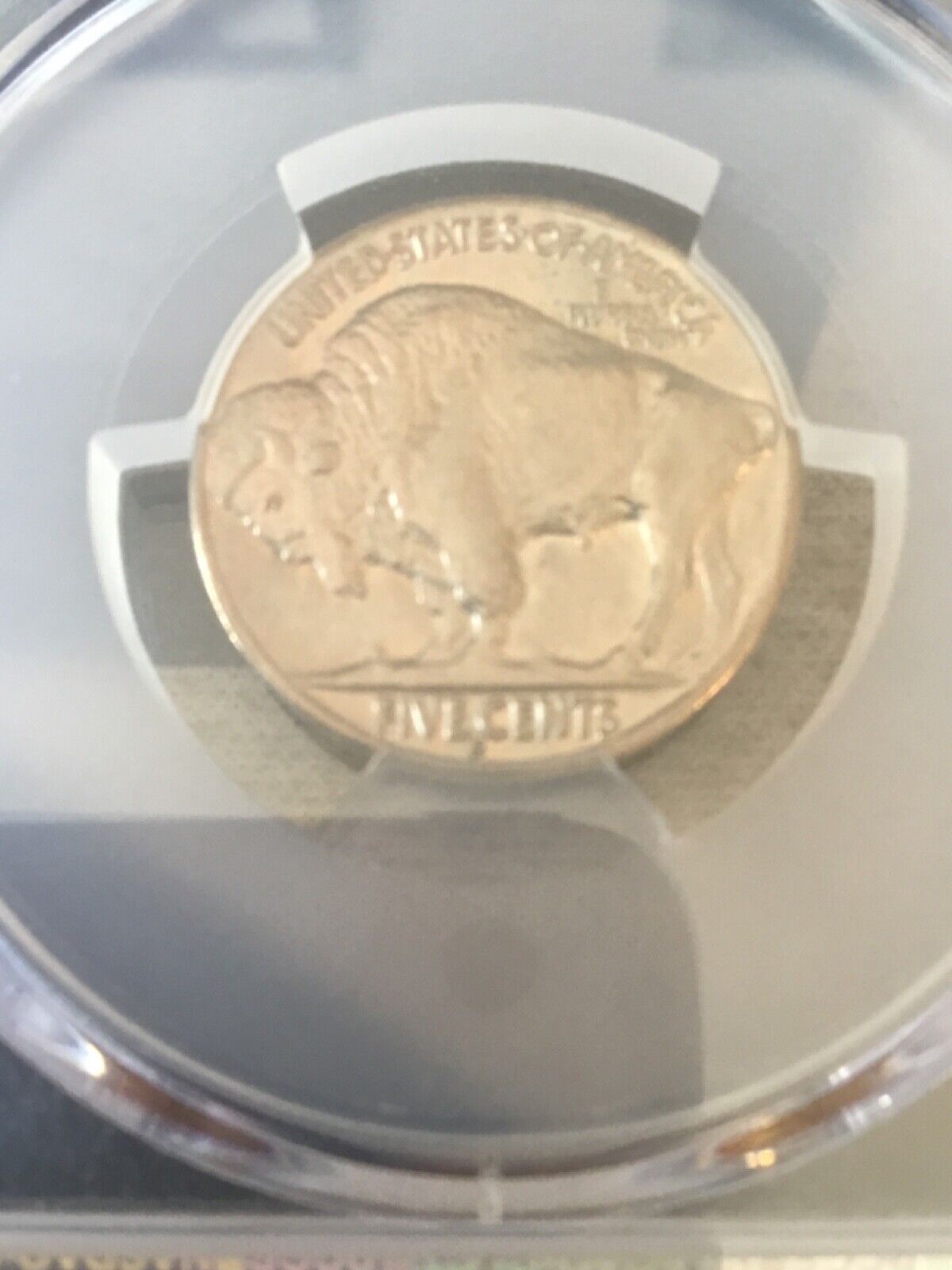 Picture 6 of 6