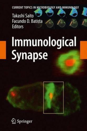 Immunological Synapse by Takashi Saito (English) Paperback Book - Afbeelding 1 van 1