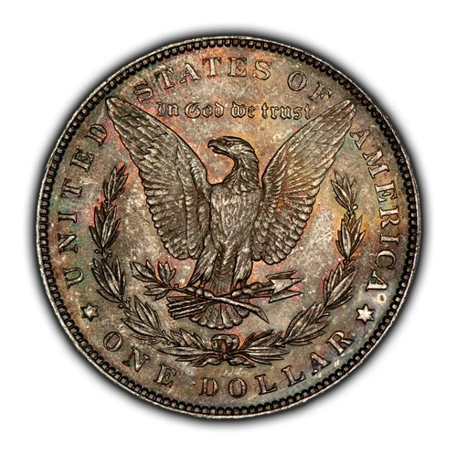 1889 $1 Morgan Silver Dollar - PQ Rainbow Accent Toning - BU - VIDEO - D5250