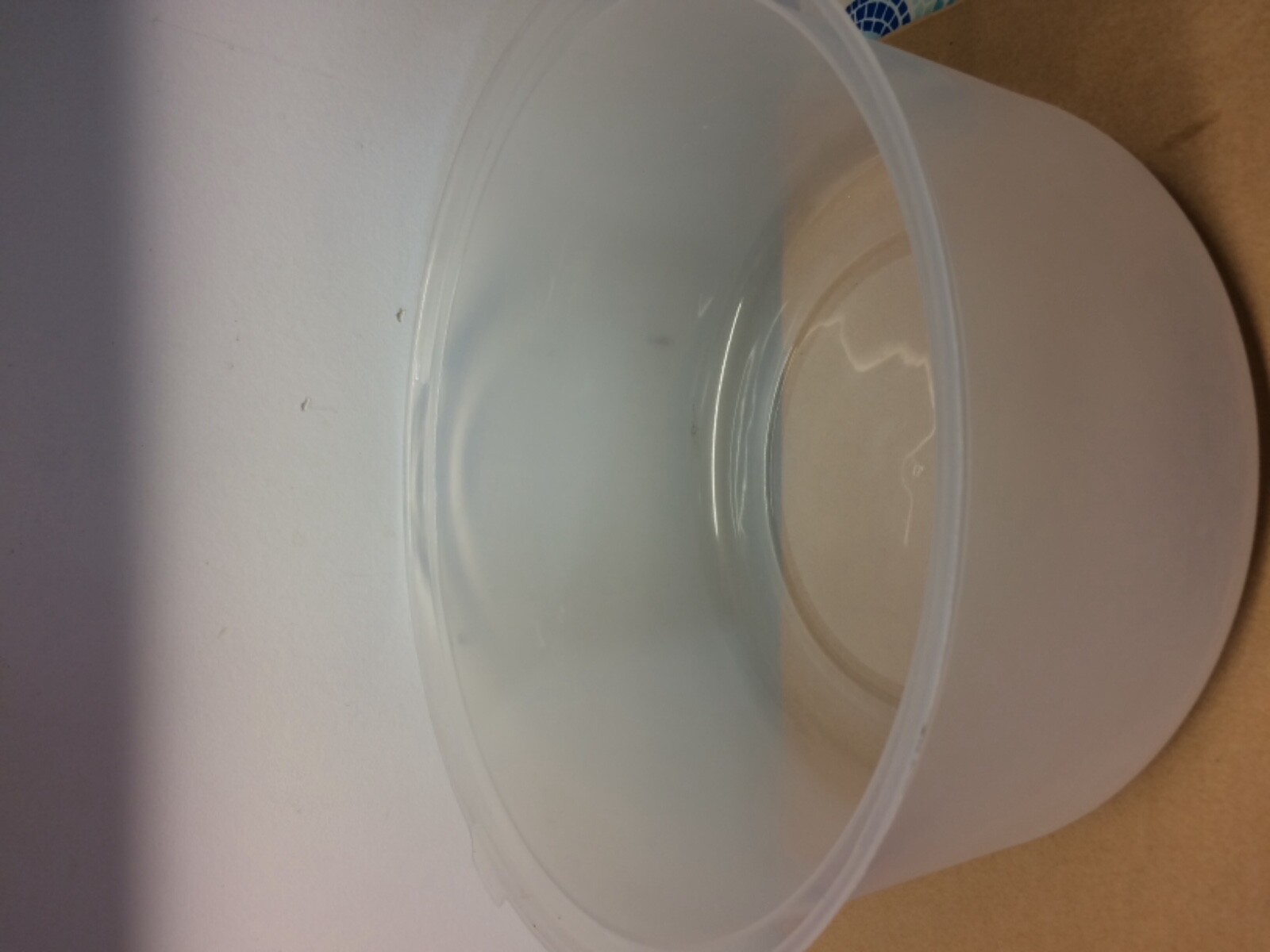 Picture 4 of 5