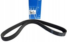 SKF Keilrippenriemen für ESCORT ESCORT CLASSIC
