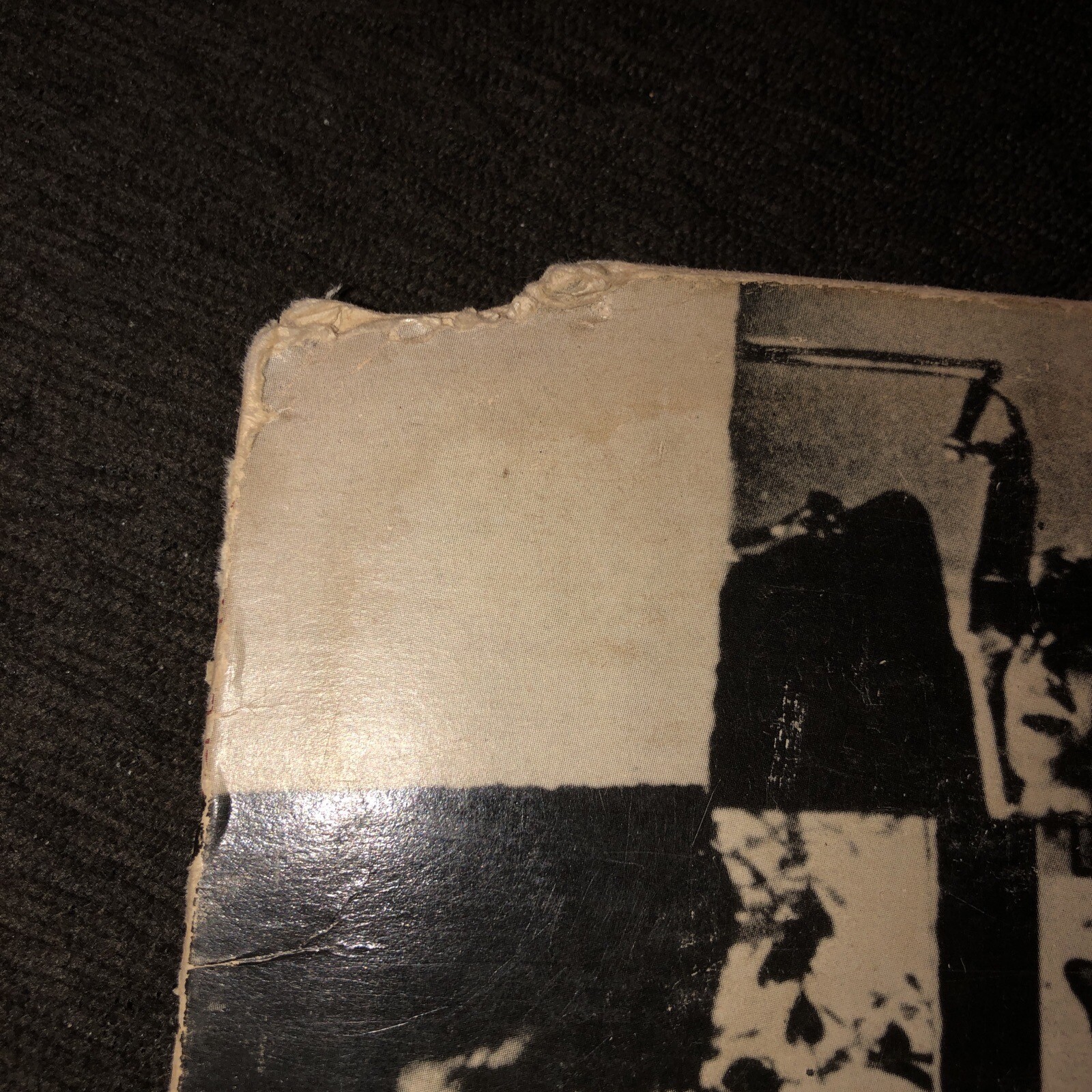 Picture 13 of 13