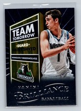 2012-13 Panini Brilliance #14 Alexey Shved Minnesota Timberwolves