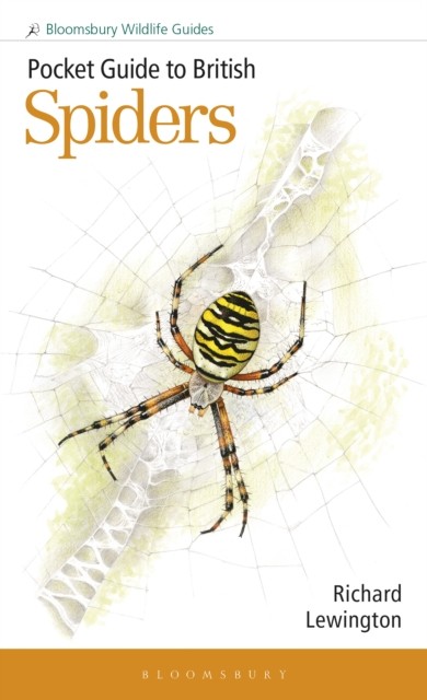 Pocket Guide to British Spiders by Richard Lewington (Paperback Book)
