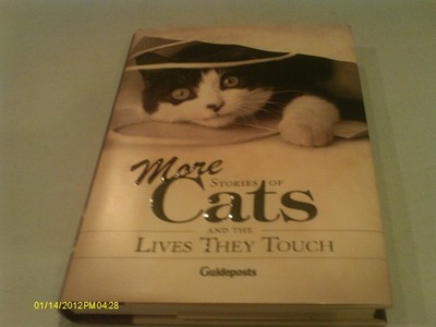 More Stories Of Cats and the Lives They Touch