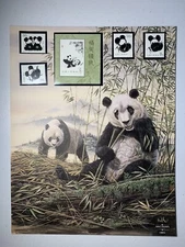 PRC China Giant Panda Vintage Fine Art Souvenir Print & Matching Set Mint Stamps