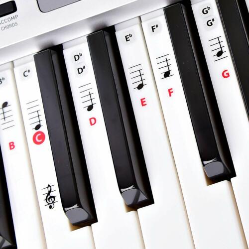 Las mejores pegatinas de teclado reutilizables para teclas y notas para piano para adultos y niños Lesso - Imagen 1 de 4