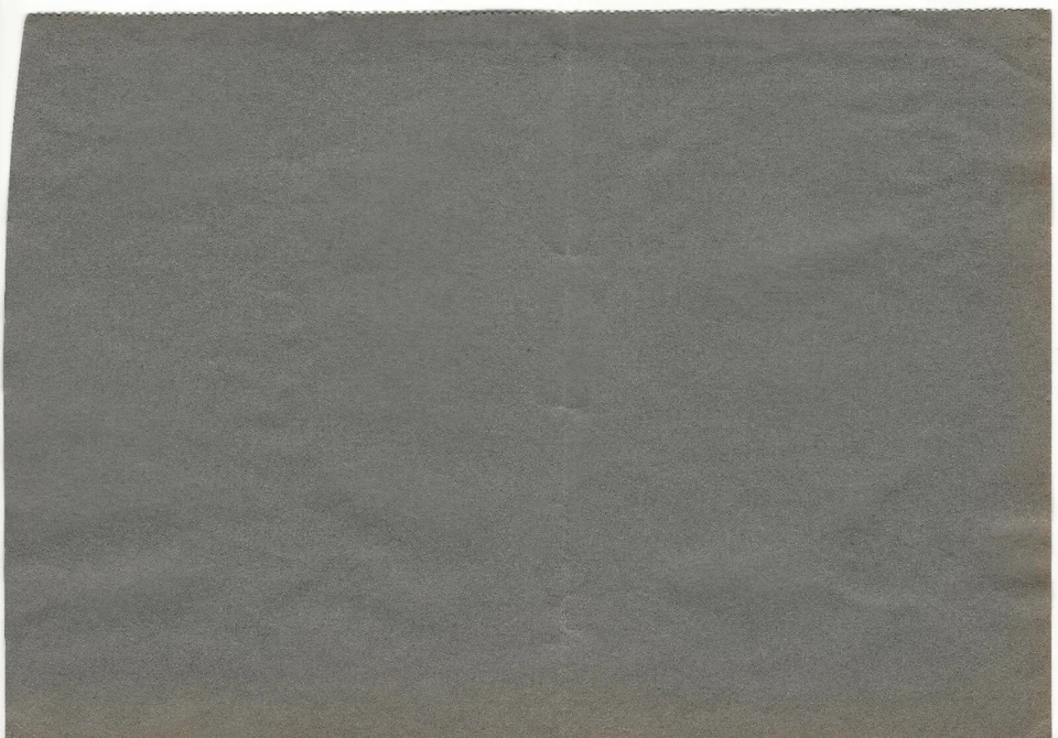 1931 ALGERIA HOTEL SEMIRAMIS CUBIERTA ENVIADA A PARÍS FRANCIA BORDE COLORIDO CON CAMELLOS Foto 2 de 2