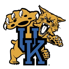 Kentucky Wildcats NCAA Weather Resistant Vinyl Die Cut Sticker Decal 01