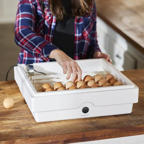 3200 Automatic 41 Spot Egg Turner, Eliminate Manual Handling & Improve Hatching - Picture 8 of 9