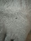 Bild 6 von 6