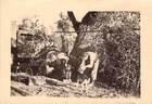 Original WW2 Photo Vissolono Italy Field Radio Truck Dog Military Engineering