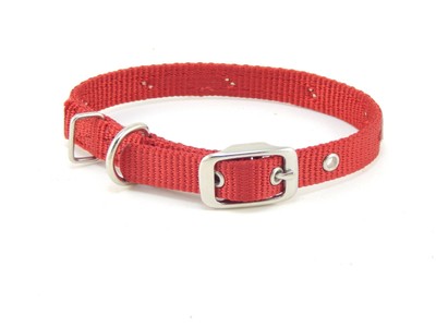 hamilton dog collar