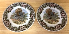 2 Dinner Plate Thanksgiving Churchill Turkey Myott Factory Illustration England