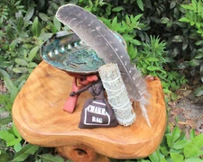 SMUDGE KIT: ABALONE SHELL STAND BLUE SAGE FEATHER AND 7 CHAKRA CRYSTALS