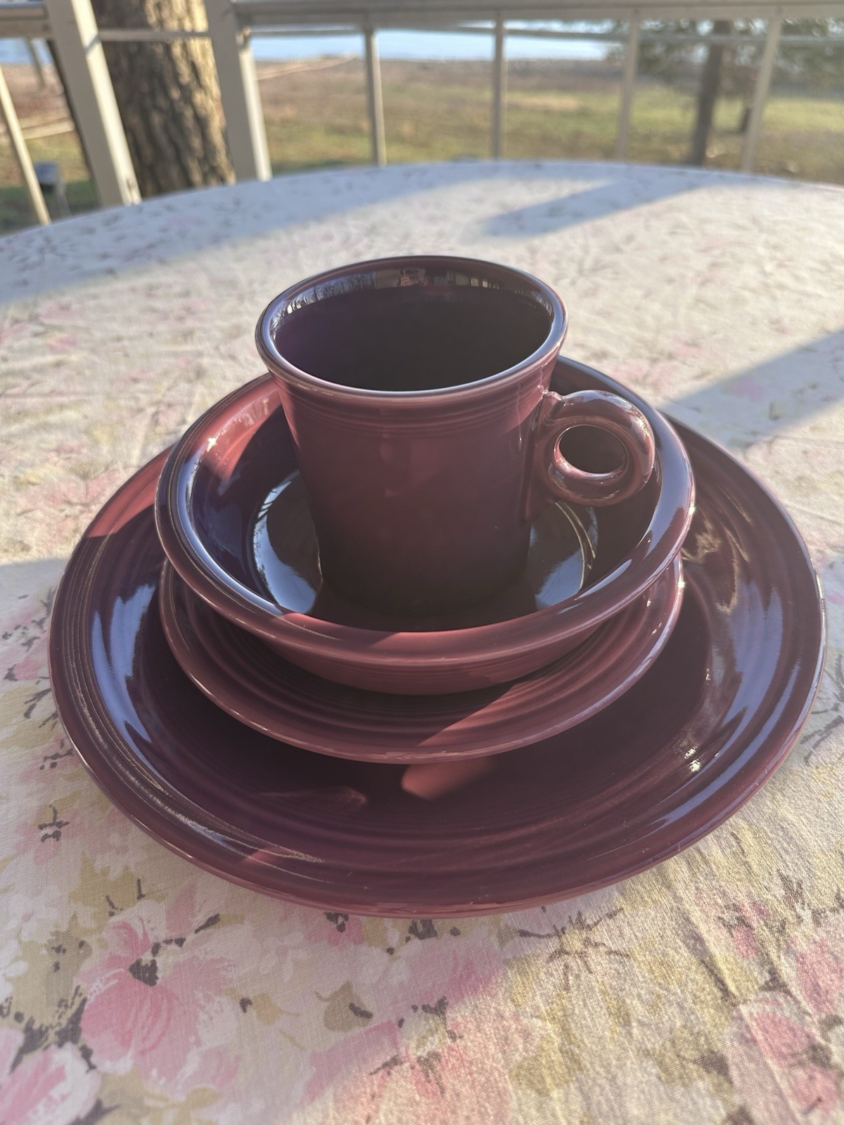 Ting Homer Laughlin Usa Purple Set