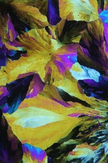 Antique microscope slide by Watson. Chemical crystals. "New Salts of Copper".