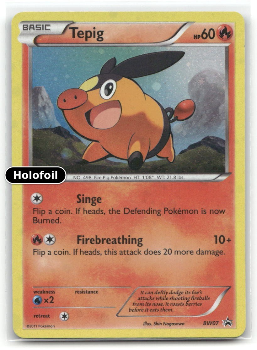 Tepig Holo Black and White Promos BW07 LP Pokemon