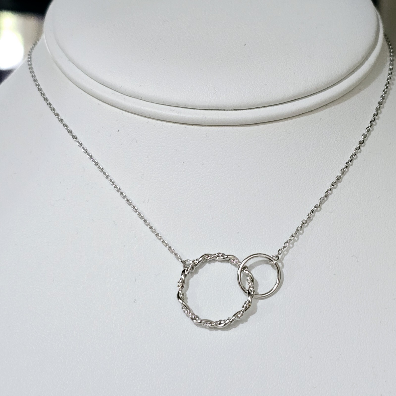 Silver Interlocking Double Circle of Life Pendant Necklace