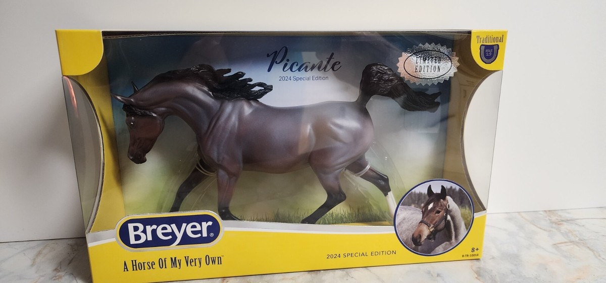 Breyer Horse Weather Girl Mold
