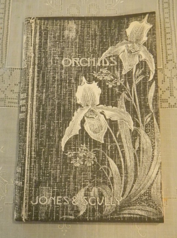 Jones & Scully Orchidglade 1971-1972 Catalog Miami, Florida Legendary Orchidist