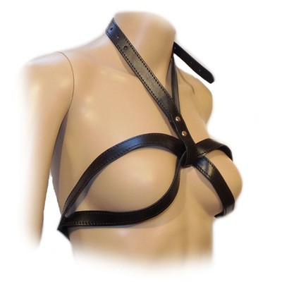 Large O-Ring Adjustable Collar-Breast Harness (One Size)