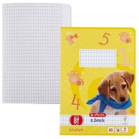 5X Herlitz Schulheft X.Book Lineatur 8F Rautiert Din A5 AußEnrand 16 Blatt