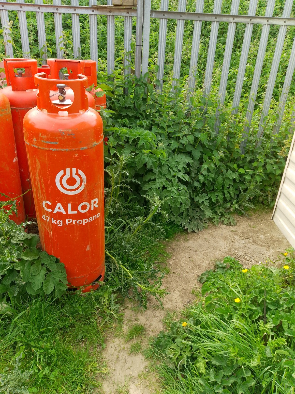 47kg Empty Propane Calor Gas Bottle eBay