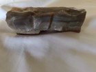 1.8oz Petrified Wood 2.5"+ x 1.25"+ — photo 9