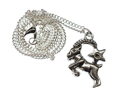 Steinbock Stern Kette Halskette Miniblings 45cm Sternzeichen Sternbild Horoskop