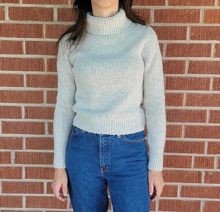 Brandy melville turtleneck best sale sweater