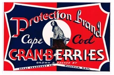 VINTAGE 1930 CRANBERRY CRATE LABEL CAPE COD WAREHAM MASSACHUSETTS PROTECTION DOG