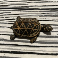 1993 Land Sea Collectibles Mini Diamond Back Turtle Nature Series Figurine