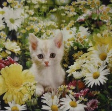 Cushion Cover 40 x 40 cm Cat & Flowers No. 348-14