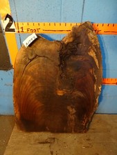 A1793 2 1/8" THICK black walnut Live Edge Slab shelf table KILN DRIED
