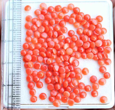17.60 Ct Excellent Quality Natural Red Italian Coral Loose Gemstone lot