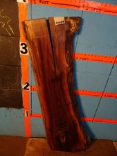 #A1059   1 7/8" THICK  black walnut Live Edge Slab shelf bench table KILN DRIED