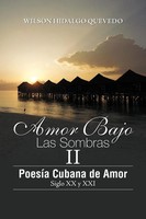 Wilson Hidalgo Quevedo | Amor Bajo Las Sombras II | Taschenbuch | Spanisch