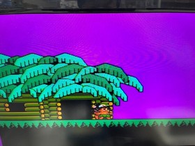 [Super Rare] Famicom Master Takahashi's Adventure Island IV