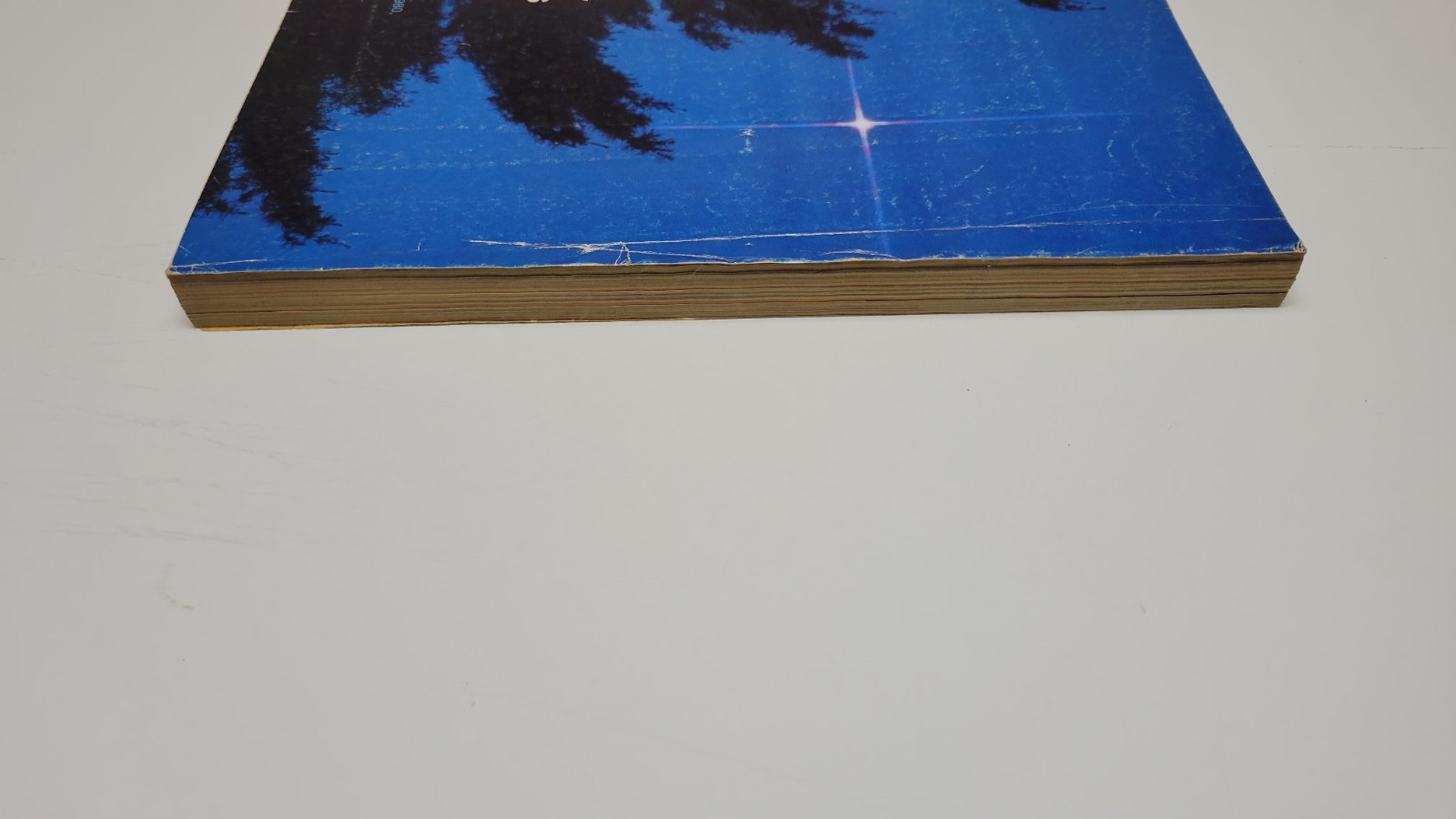 Picture 6 of 10