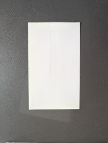 Panzer Dragoon CIB w/ Obi & Poster. Sega Saturn. From Japan. Tested & Working.