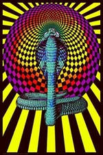 Spellbound Cobra - Laminated Non-Flocked Blacklight Reactive Poster 24.5 x 36.5