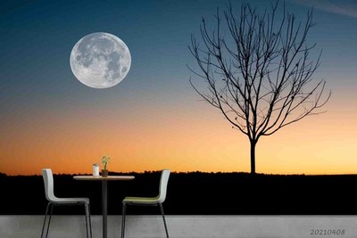 3D Tree Moon Night Scene Wall Murals Wallpaper Murals Wall Sticker