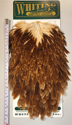 Whiting Hebert Miner, Hen Saddle, Brown, Wet Fly Hackle