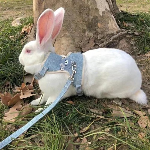 Newest Cute Rabbit Harness Leash Set Bunny Vest for Outdoor Walking Pets - Picture 6 of 26